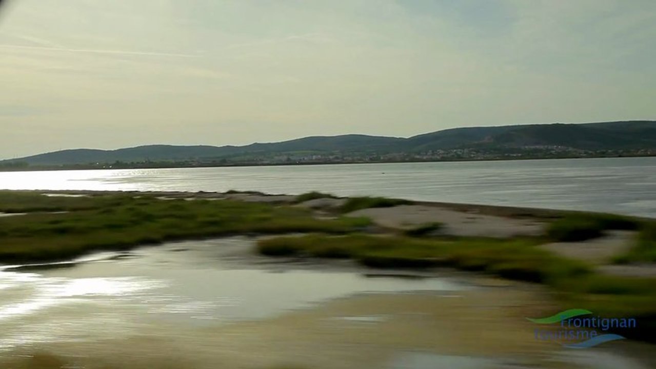 Frontignan, le film
