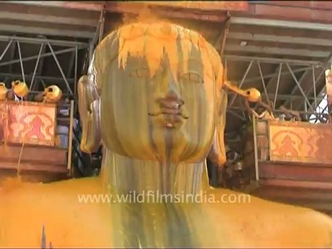 1198.Sheep being sheared in the Himalaya - funny!.mov