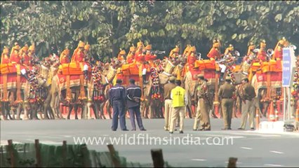1213.March of Camels, Republic Day Rehearsal 2011.mov