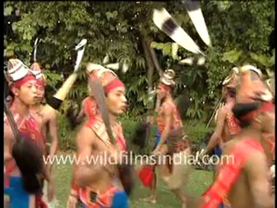 123. Vignettes from the Indian wilderness part 1.mp4