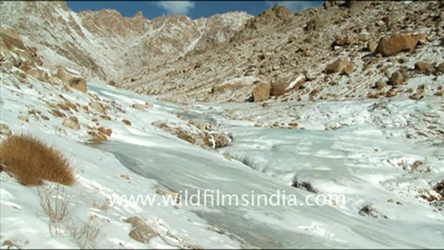 1239.Winter Adventure in Ladakh.mov