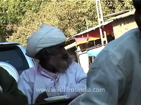 1342.Maldharis in Gujarat.mov