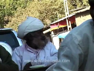 1342.Maldharis in Gujarat.mov