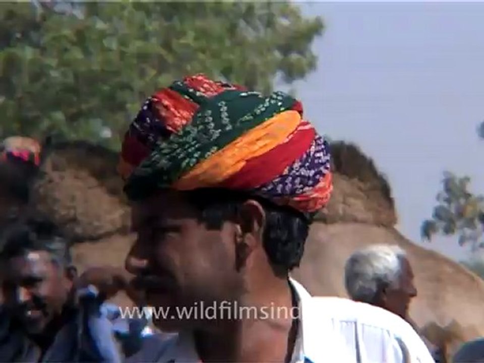 1386.Horse trading at Pushkar Fair.mov