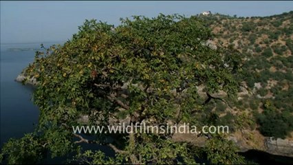 1400,Dhebar Lake in Udaipur, Rajasthan.mov