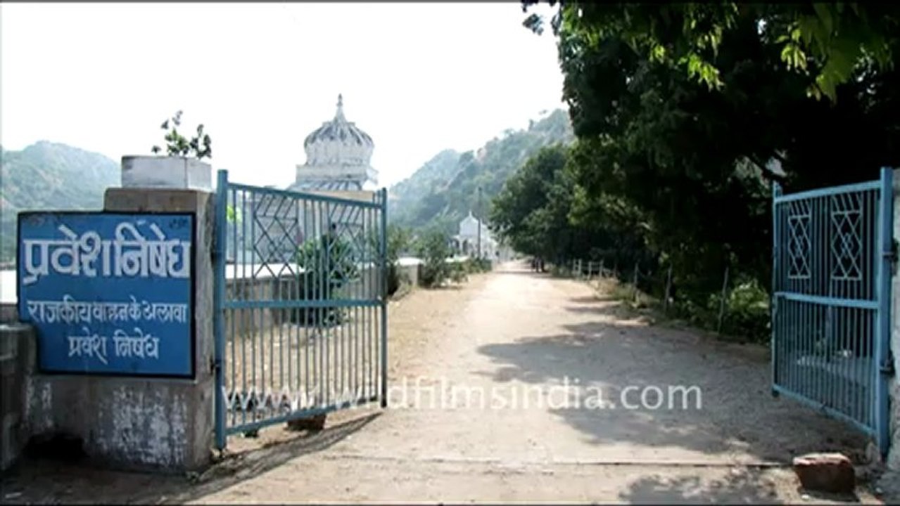 1427.Jaisamand Lake in Udaipur.mov