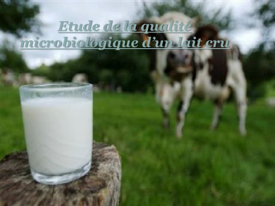Étude de la qualité microbiologique d'un lait cru