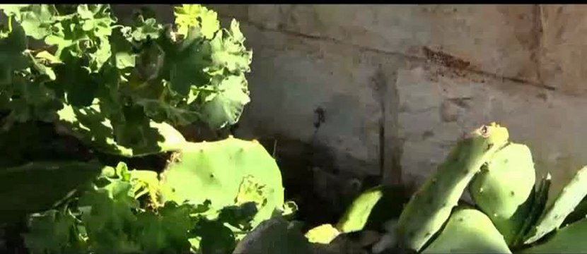 Le frioul , jours tranquilles en automne