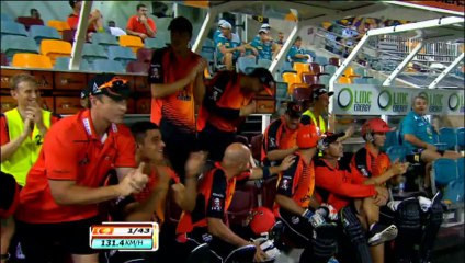 Cricket, fuoricampo fa scivolare lo spettatore