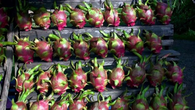 Partir Ailleurs 4 - Cambodge