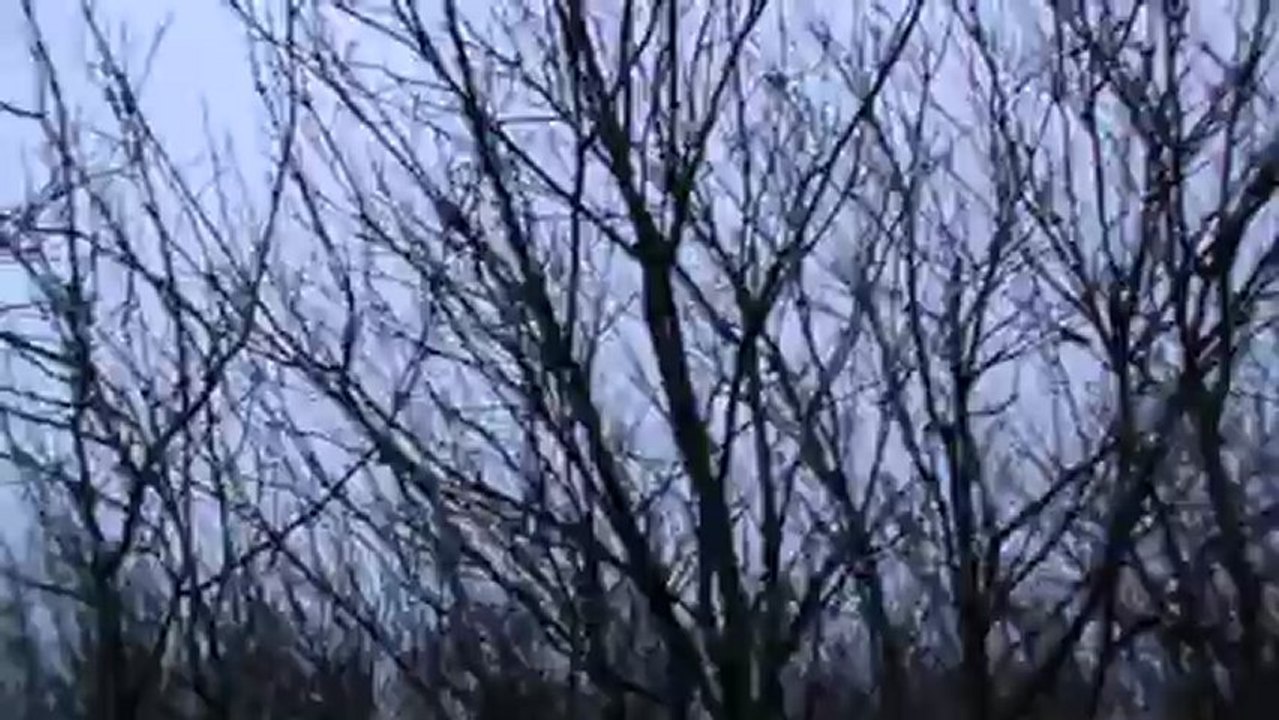 NAZIM ÖKSÜZ ÇULLUK AVI