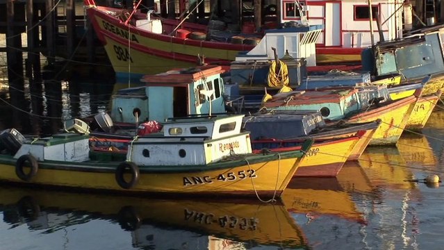 Partir Ailleurs 5 - Patagonie