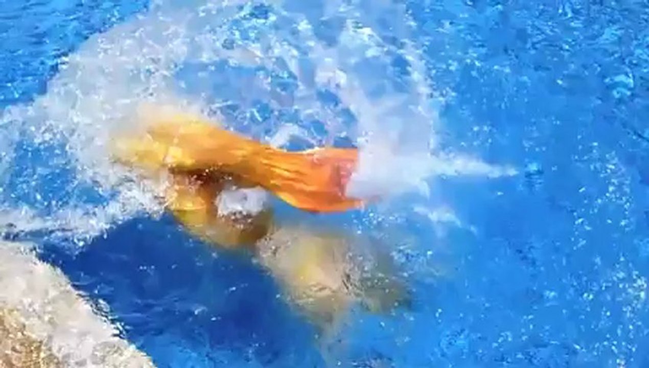 Elischeba Wilde - Meerjungfrau, Unterwassermodel und Mrs. Germany 2009