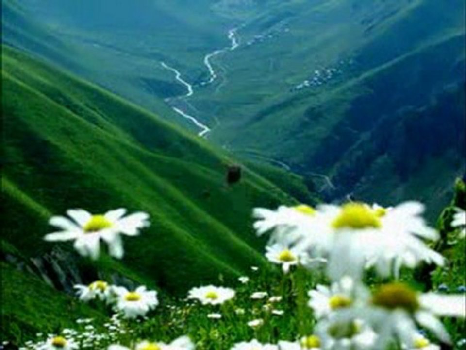 selda bağcan denizlerin dalgasıyım