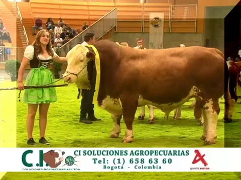 Gallos Valledupar Diciembre 14 de 2012 web