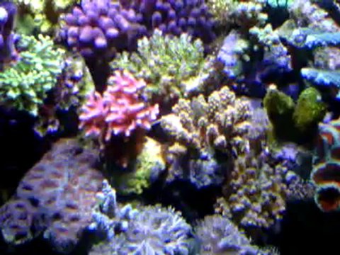 VID 00027-20121218-1343