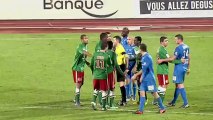 Chamois Niortais (NIORT) - CS Sedan (CSSA) Le résumé du match (18ème journée) - saison 2012/2013