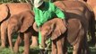 Sanctuary offers orphaned elephants a chance in life
