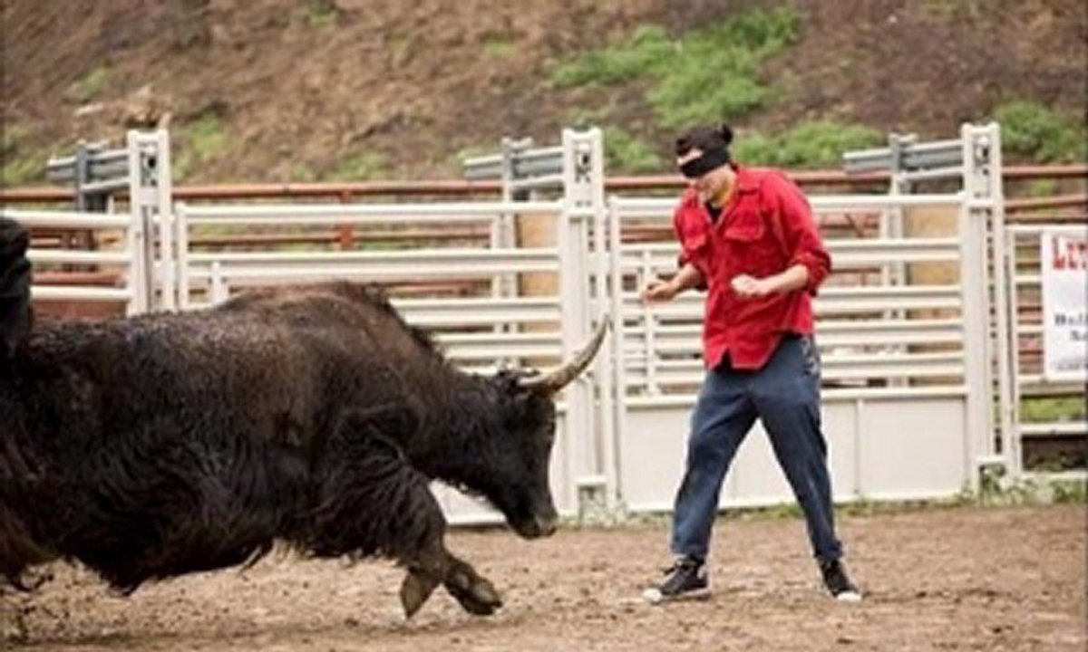 Jackass 3D online watch www.hdmoviespool.com