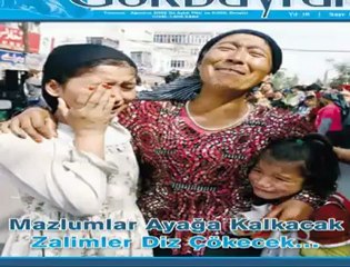 BANU AVAR NE YAPMAYA ÇALIŞIYOR