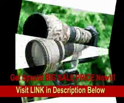 Canon EF 800mm f/5.6L IS USM Super Telephoto Lens for Canon Digital SLR Cameras