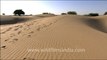 1527.Sam Sand Dunes in Desert National Park.mov