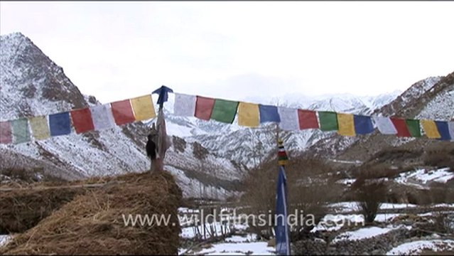 1544.Prayer Flags, Ladakh.mov