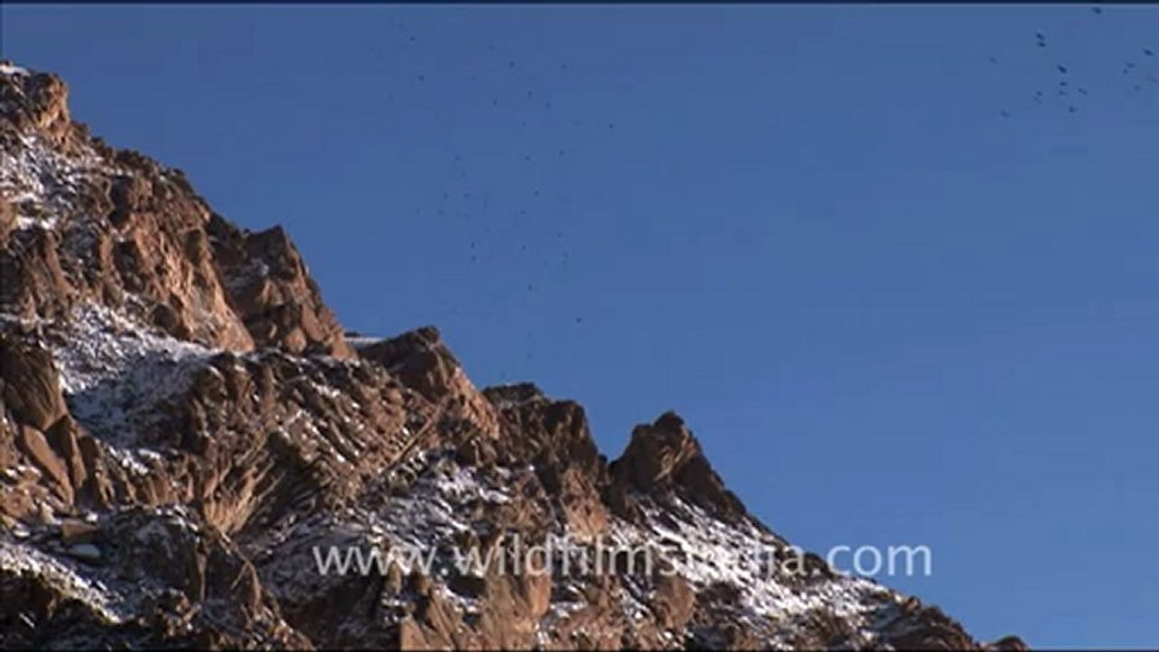 1546.Landscapes in Ladakh, Kashmir.mov