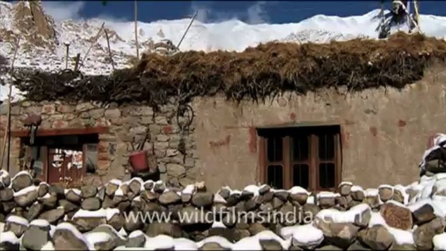 1560.Ladakh-The coldest desert in the world.mov