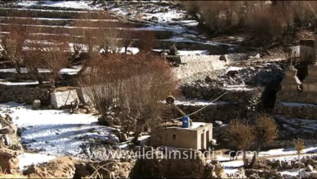 1568.Village in Ladakh.mov