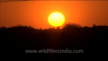 1583.Time lapse of Sunset in Rajasthan.mov