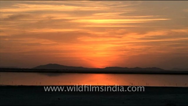 1622.Sunset over the salt pans of Sambhar Lake, Rajasthan.mov