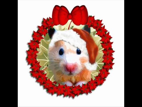 JOYEUX NOËL ET BONNE ANNEE 2013