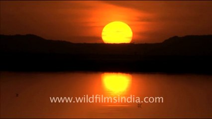 1626.Sunset over Sambhar Lake.mov