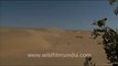 1636.Sand dunes, Rajasthan.mov
