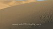 1653.Sam Sand Dunes of Rajasthan.mov