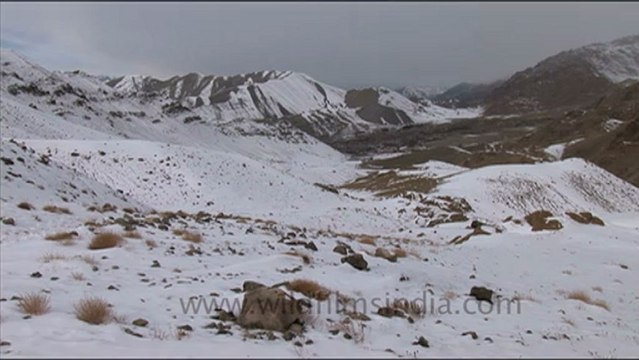 1667.Pug-marks of Snow Leopard in Ladakh.mov