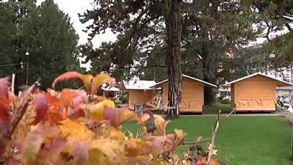 via le navette in centro tornano i bus