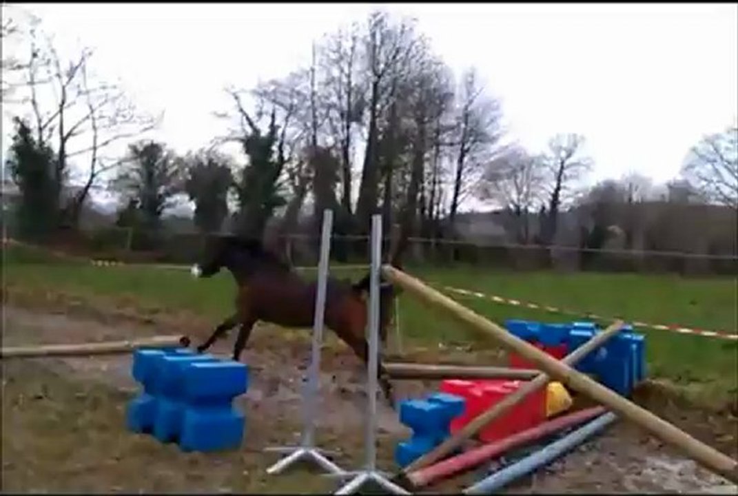 Acid Cherry Tartifume mâle WB A VENDRE