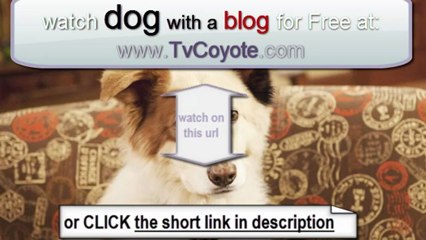 Dog With a Blog Season 1 Episode 1 - Stan of the House