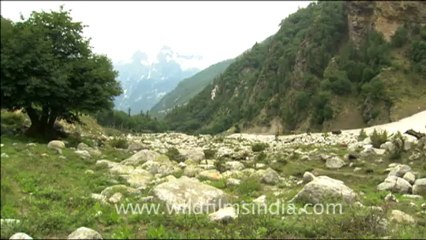1788.Waterfall and high altitude valley in Garhwal.mov