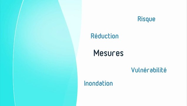 Des acteurs et un territoire mobilisés face au risque inondation : des entreprises engagées (2012)