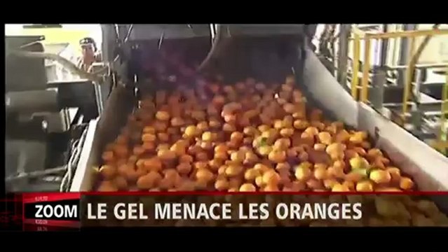 RDI Économie - Entrevue Marcel Boyer