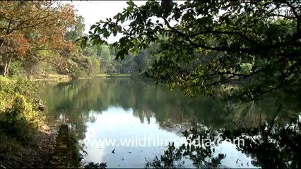 1937.Salley Lake in Arunachal Pradesh.mov