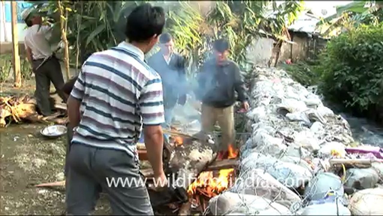 1940.Burning a pig after sacrifice in Lower Dibang valley.mov