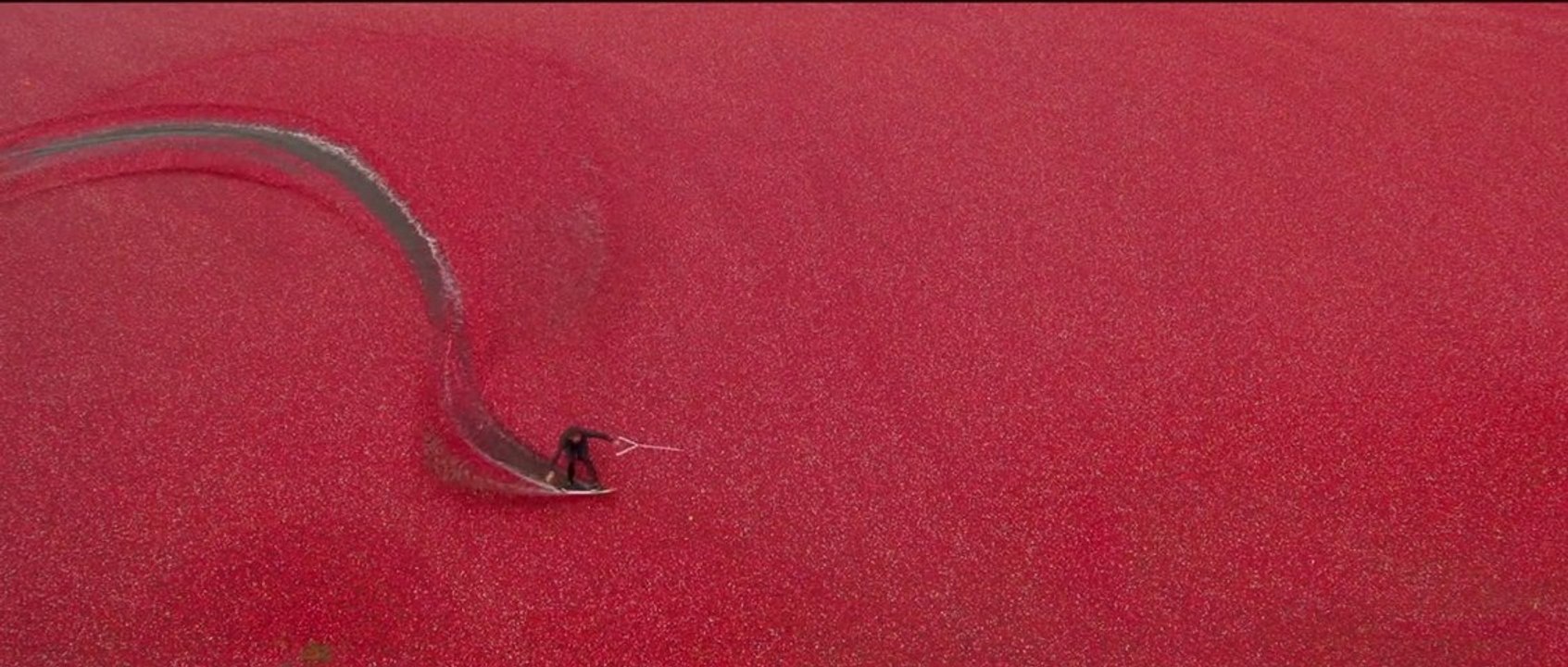 Cranberry Wakeskating - Red Bull