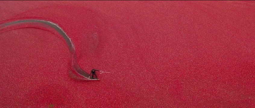 Cranberry Wakeskating - Red Bull