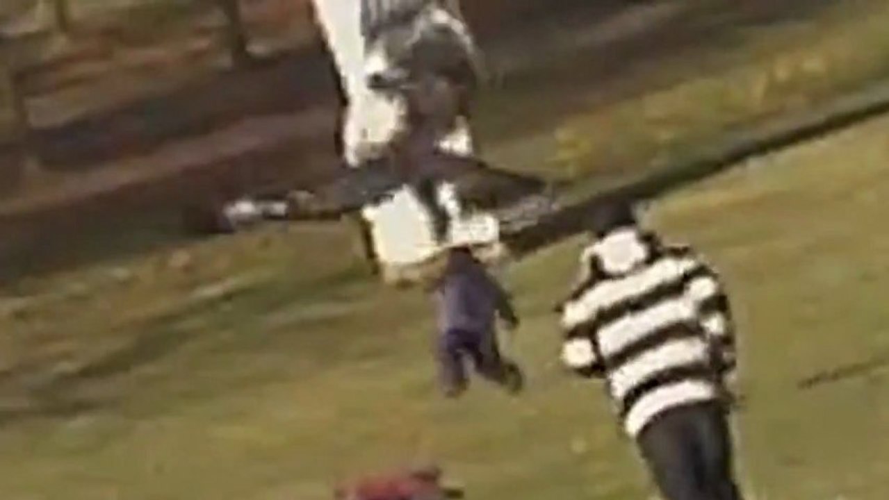 Un aigle tente d'emporter un enfant