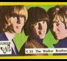 The Walker Brothers - The Sun Ain't Gonna Shine Anymore