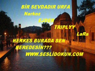 WWW.SESLİDOKUN.COM